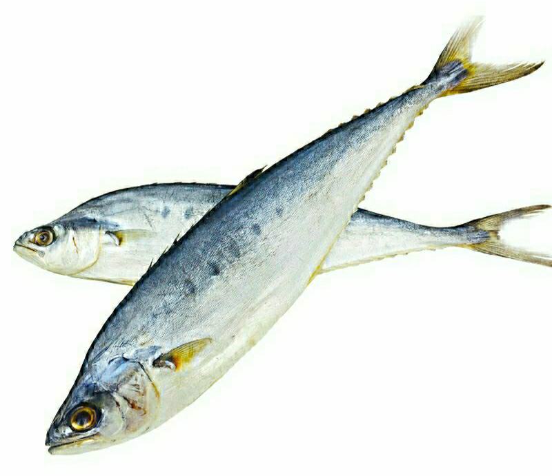 鲅鱼干自然晒干海鲜干货鲜香美味（2斤1件包邮）