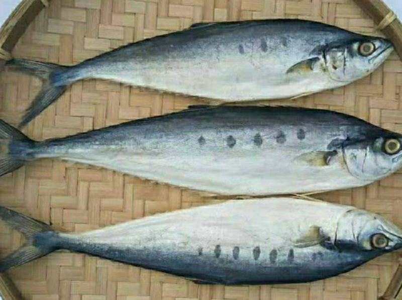 鲅鱼干自然晒干海鲜干货鲜香美味（2斤1件包邮）