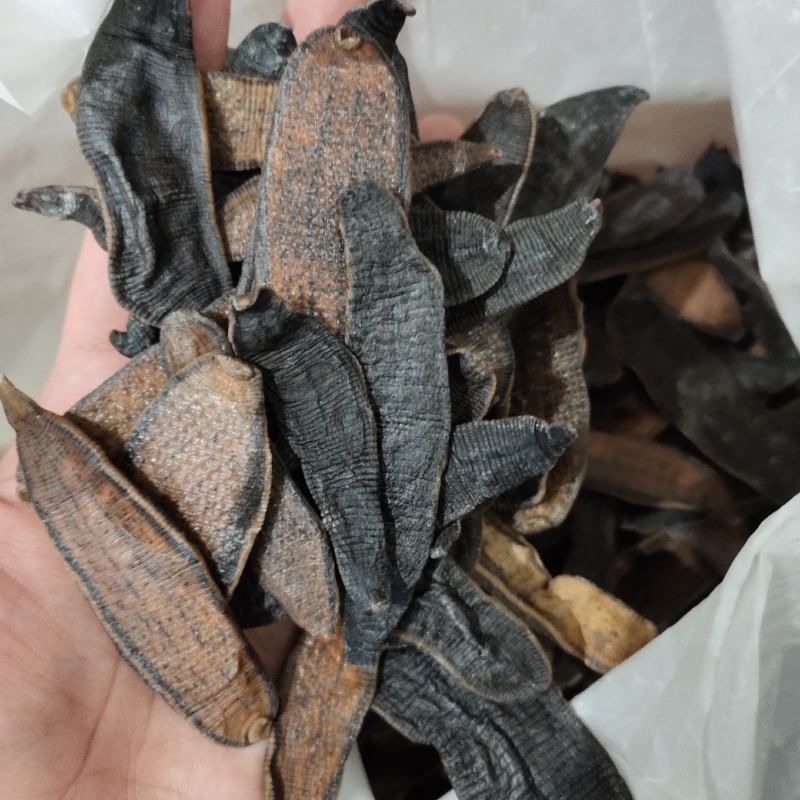 【文斌药业】水蛭宽体。清水吊干水蛭两种规格