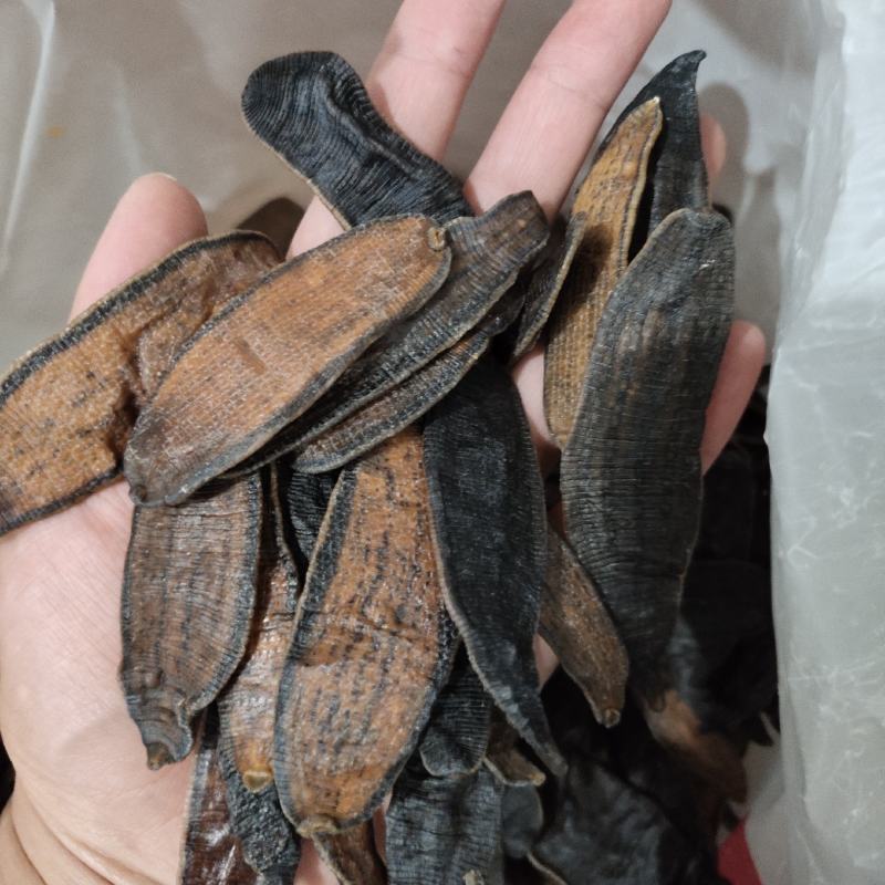 【文斌药业】水蛭宽体。清水吊干水蛭两种规格