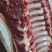 鲜驴肉马肉天天有精修去油量大优惠不支持退换，需要的老板联