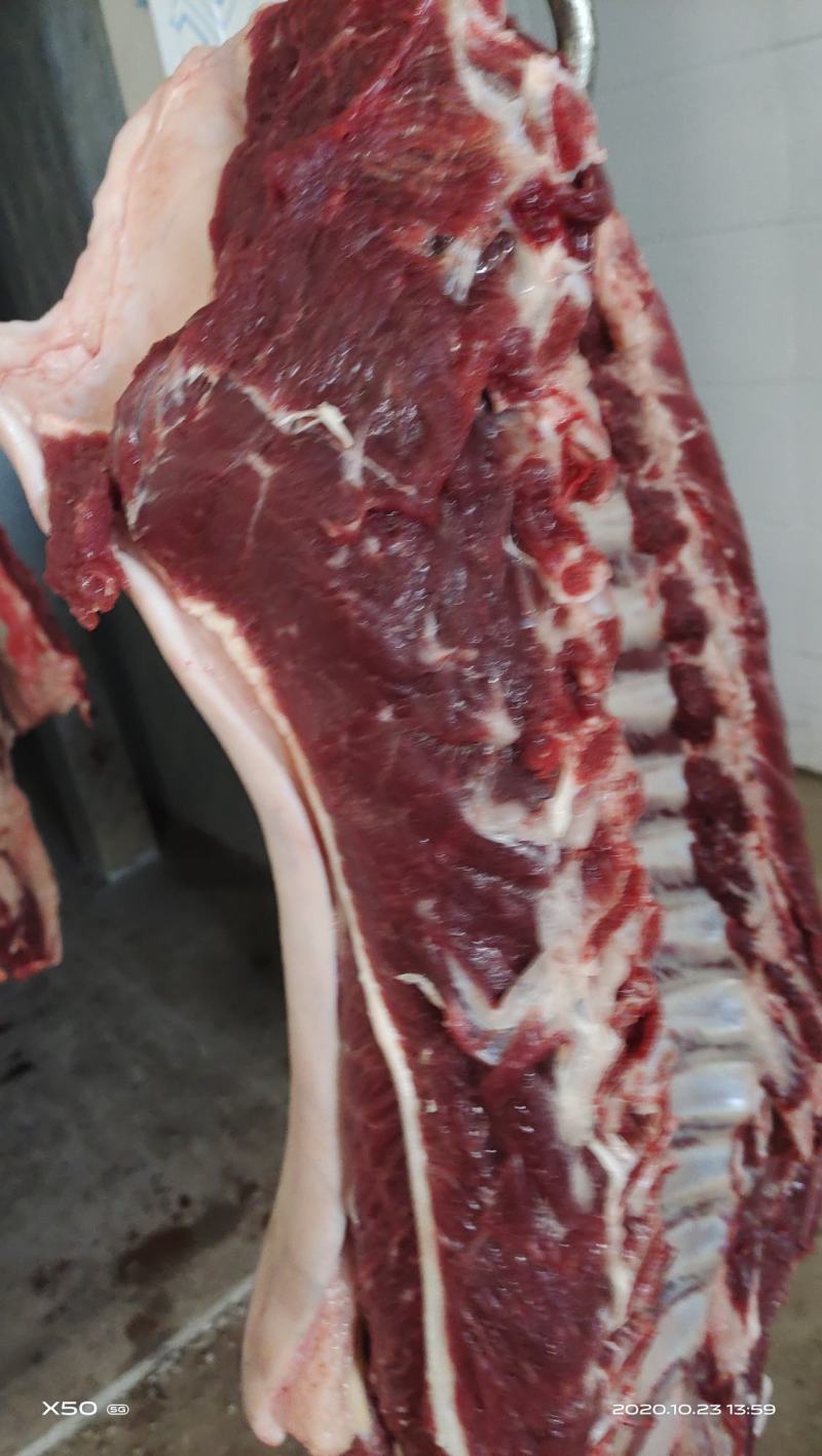 鲜驴肉马肉天天有精修去油量大优惠不支持退换，需要的老板联