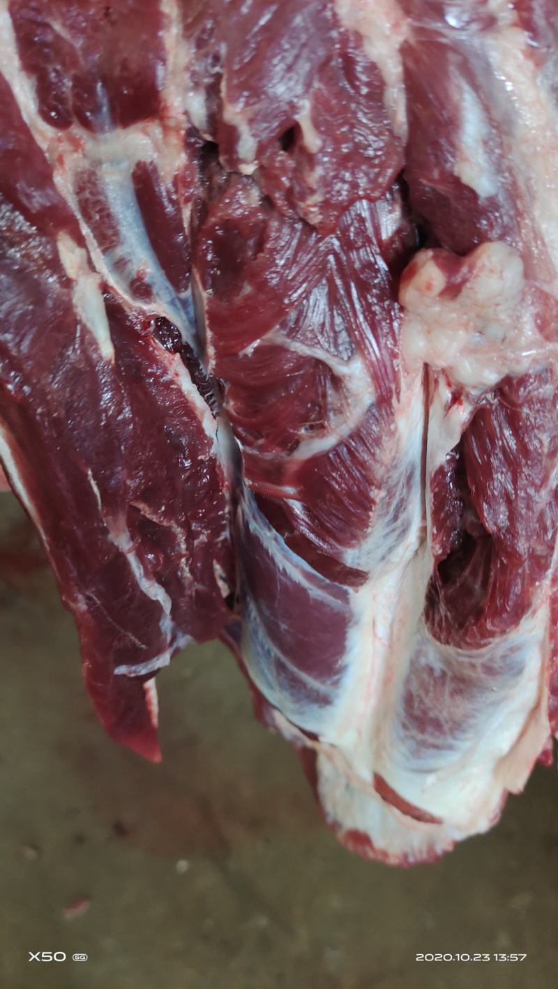 鲜驴肉马肉天天有精修去油量大优惠不支持退换，需要的老板联