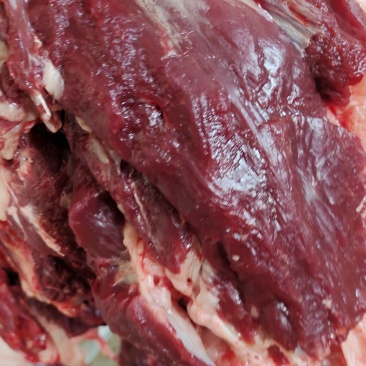 鲜驴肉马肉天天有精修去油量大优惠不支持退换，需要的老板联