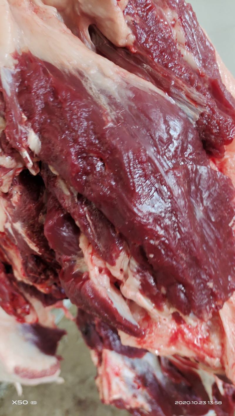 鲜驴肉马肉天天有精修去油量大优惠不支持退换，需要的老板联
