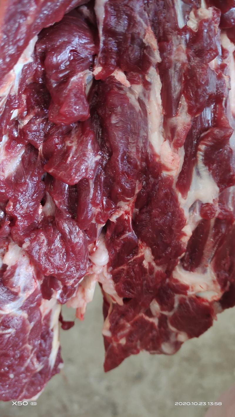 鲜驴肉马肉天天有精修去油量大优惠不支持退换，需要的老板联