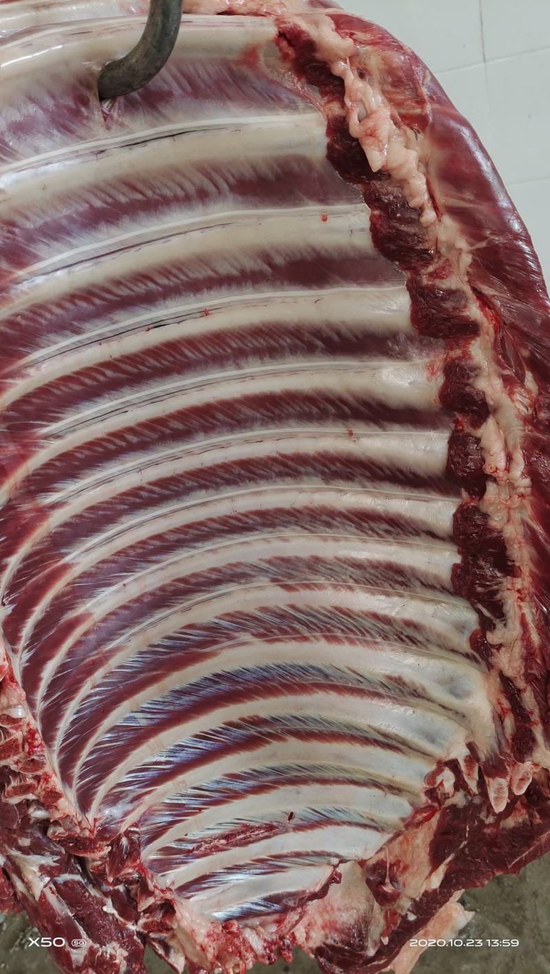 鲜驴肉马肉天天有精修去油量大优惠不支持退换，需要的老板联
