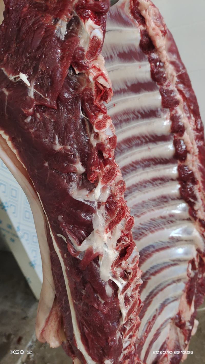 鲜驴肉马肉大量现货供应，有自己养殖基地，屠宰加工一条龙服