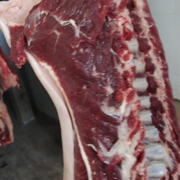 鲜驴肉马肉大量现货供应，有自己养殖基地，屠宰加工一条龙服