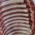鲜驴肉马肉大量现货供应，有自己养殖基地，屠宰加工一条龙服