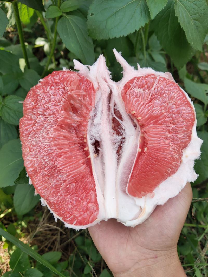 红心柚福建平和柚子琯溪蜜柚皮薄多汁量大从优