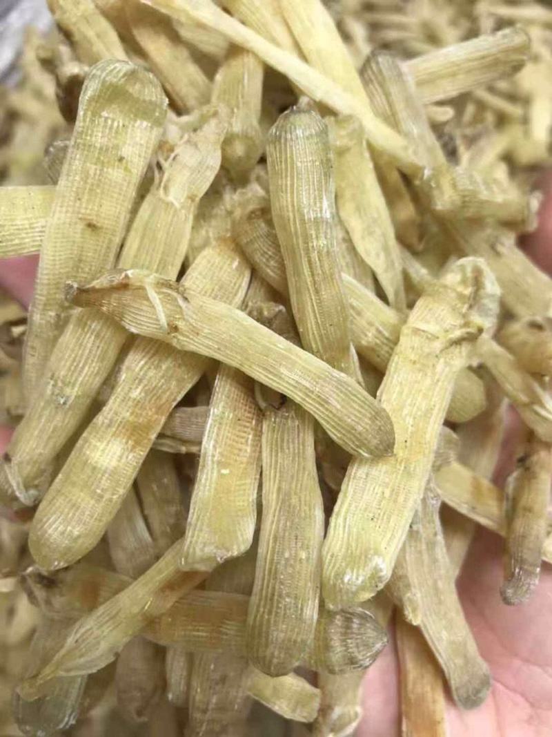 北海沙虫干海味滋补干货新鲜无杂质味道鲜美无比营养价值丰富
