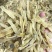 北海沙虫干海味滋补干货新鲜无杂质味道鲜美无比营养价值丰富