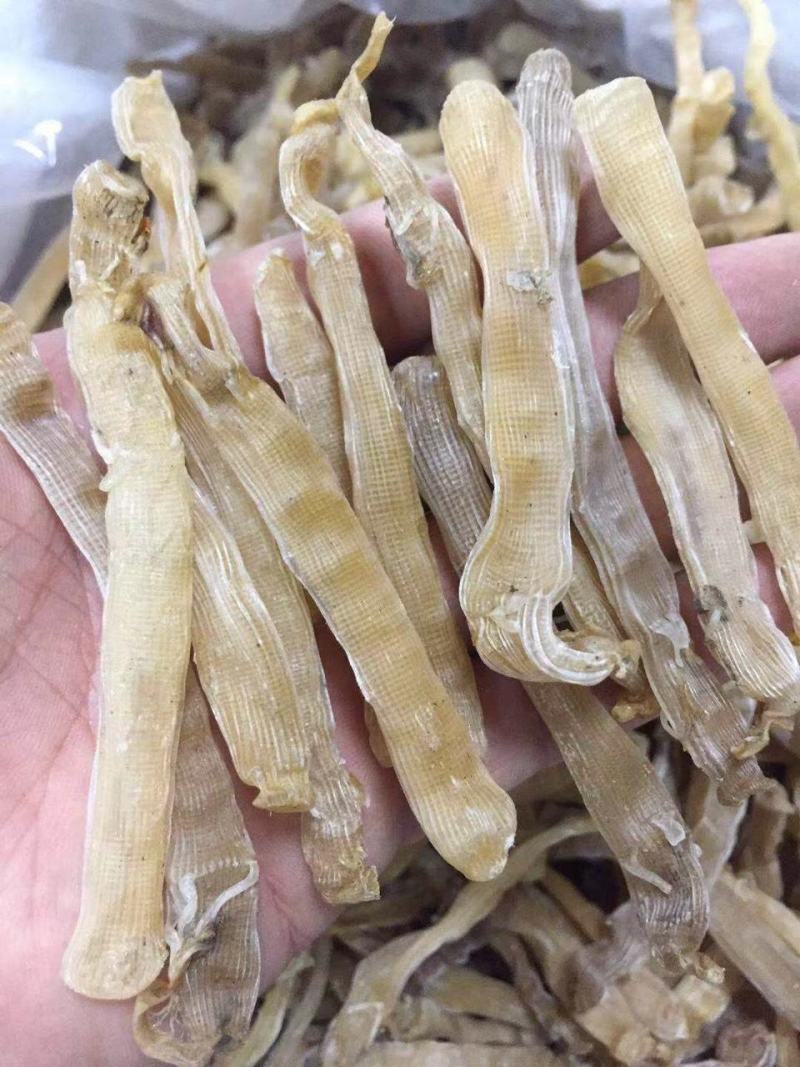 北海沙虫干海味滋补干货新鲜无杂质味道鲜美无比营养价值丰富