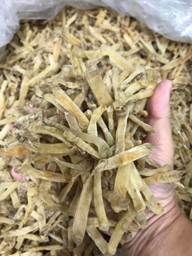 北海沙虫干海味滋补干货新鲜无杂质味道鲜美无比营养价值丰富