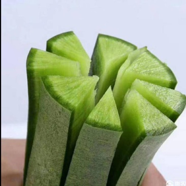 大量供应大棚瓜茬青萝卜