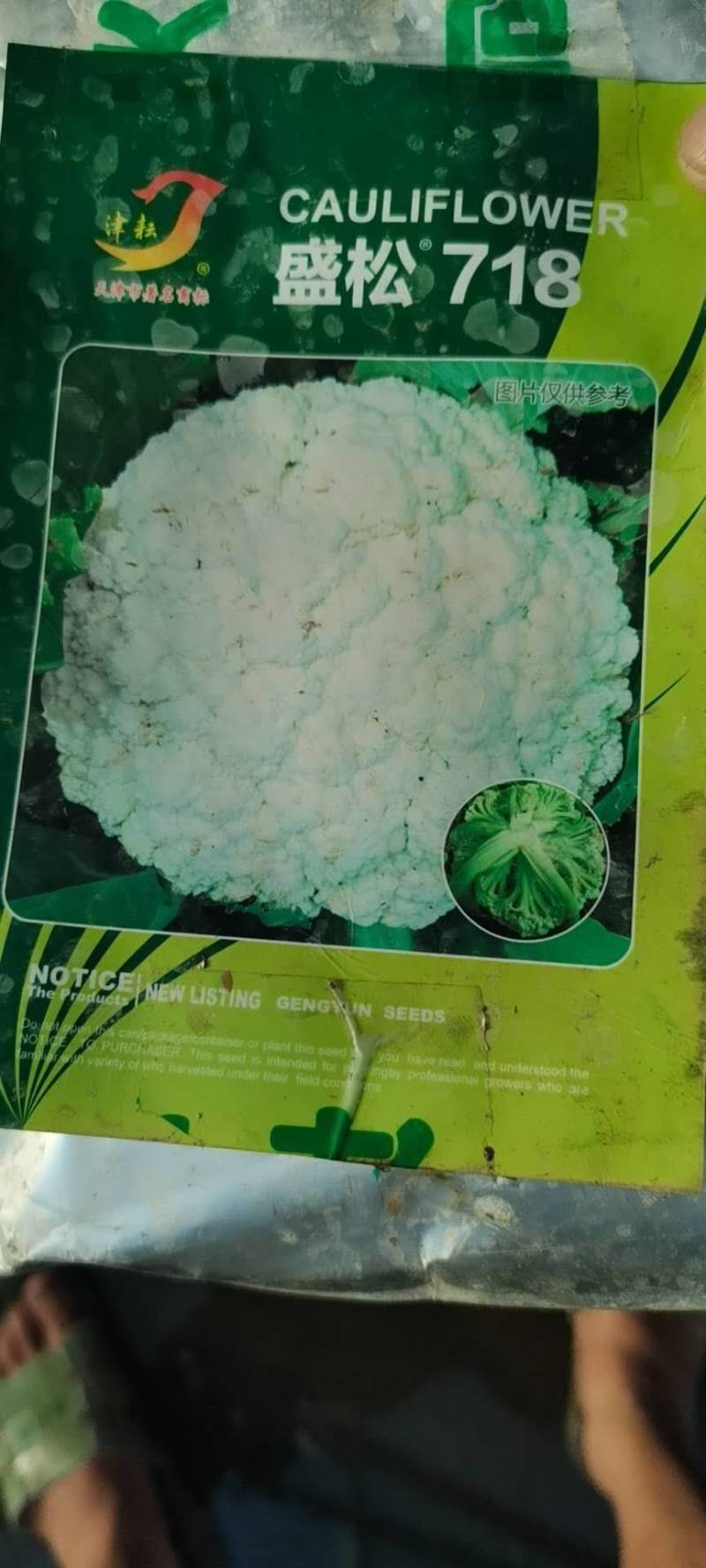 精品，优质，盛松718松花菜苗，，，，，，