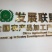 基地直销各种规格的红油香椿苗