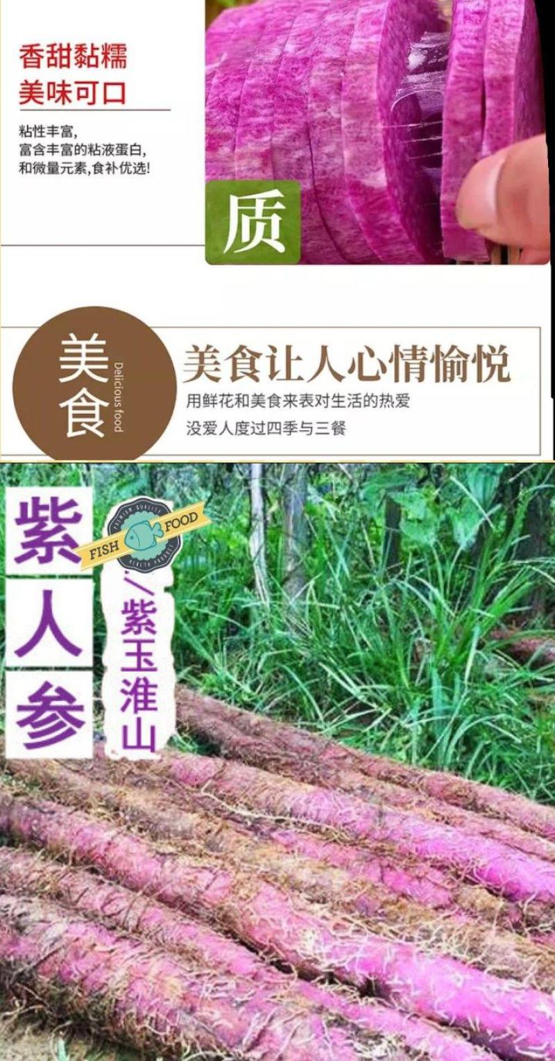 山药紫色山药现挖现卖紫山药新鲜紫山药花青素山药包邮