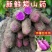 山药紫色山药现挖现卖紫山药新鲜紫山药花青素山药包邮