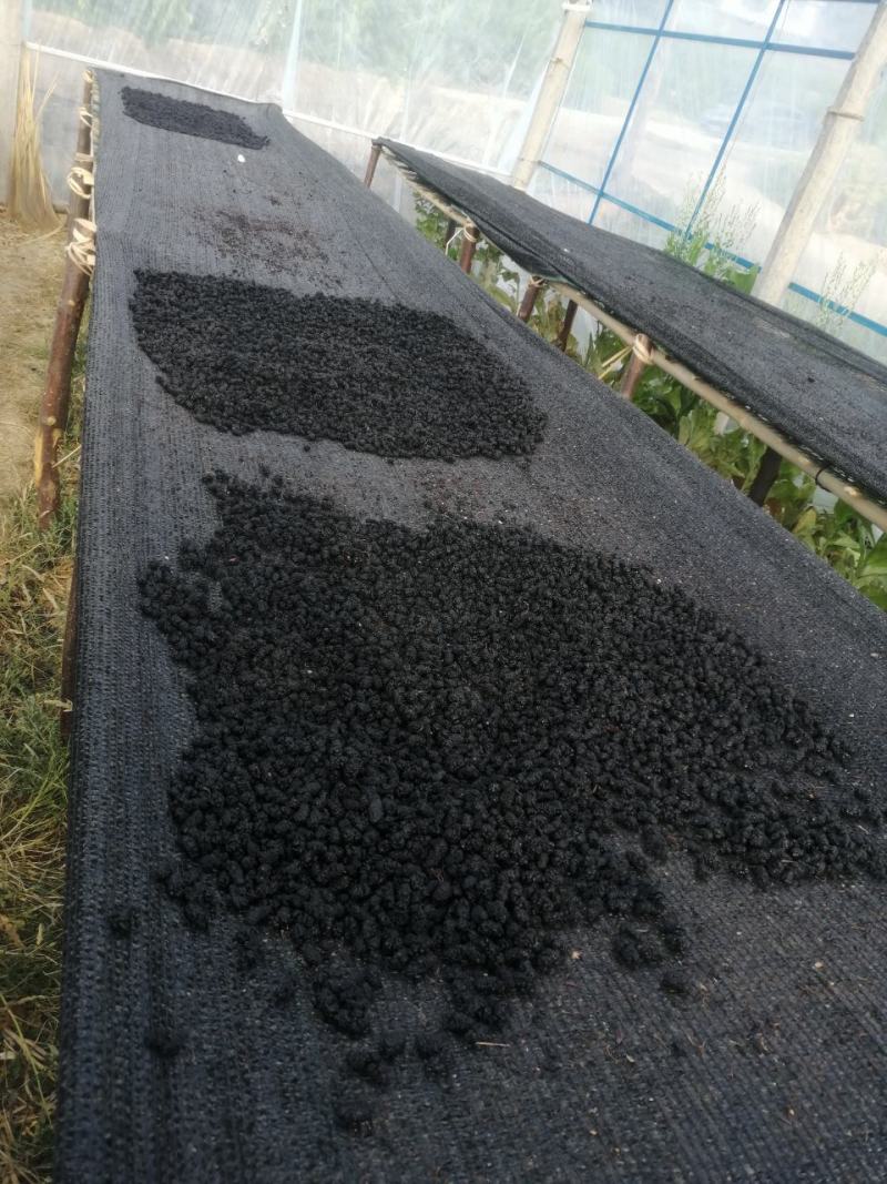 桑葚子桑椹干水洗无沙无杂质产地直发一手货源一件代发长期供
