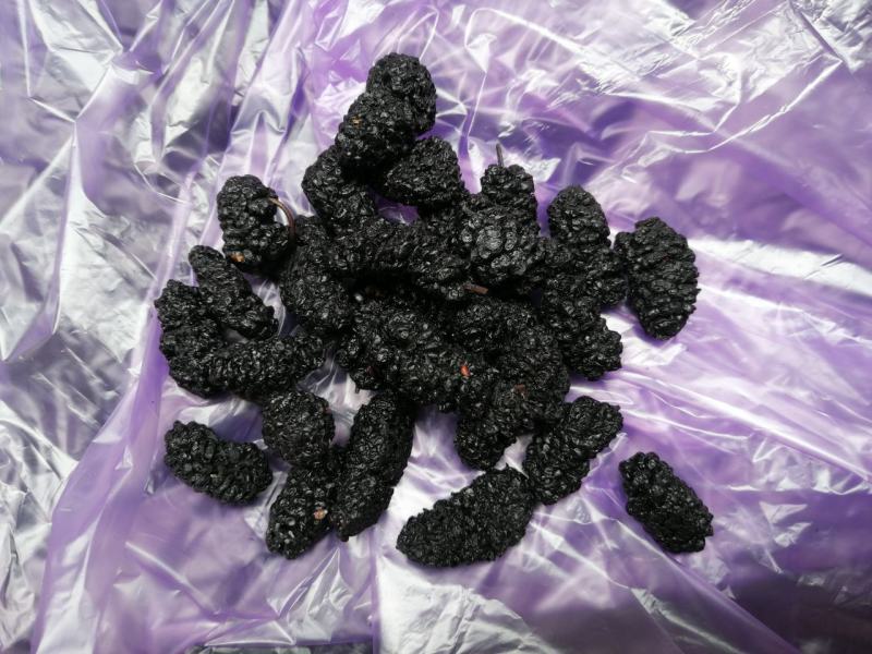 桑葚子桑椹干水洗无沙无杂质产地直发一手货源一件代发长期供
