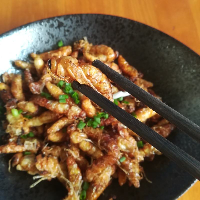 蜂蛹金环大个地王蜂虎头蜂