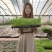 芹菜苗子西芹苗四季小香芹苗大芹菜水果芹菜地拔芹菜苗