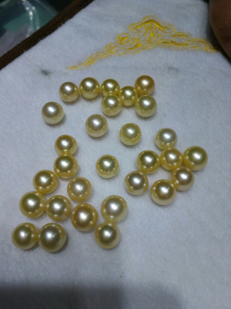 海水珍珠，南洋金珠，做高档吊坠，耳钉，耳环
