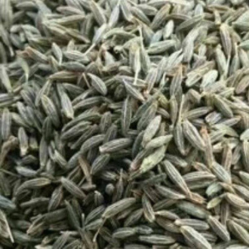 孜然，甘肃孜然，新疆孜然都有，价格不一样