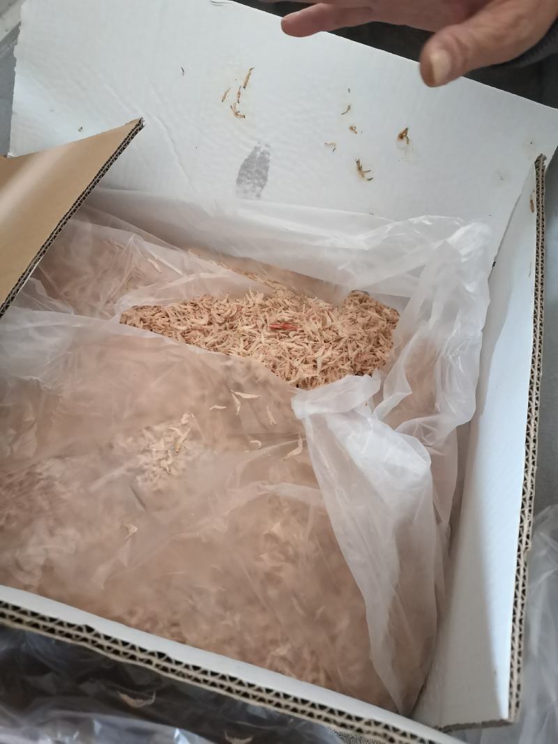 季节性自产自销烘干虾皮