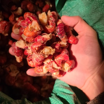 厂家一级二级特级虾尾价格美丽需要的联系