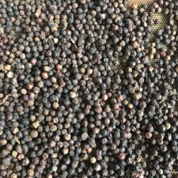 越南胡椒，茶叶有需要的联系