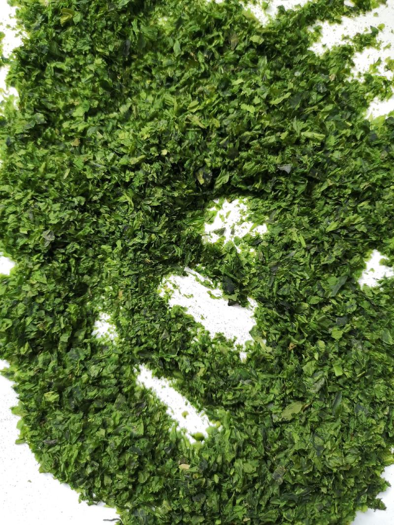 季节性自产自销烘干海苔