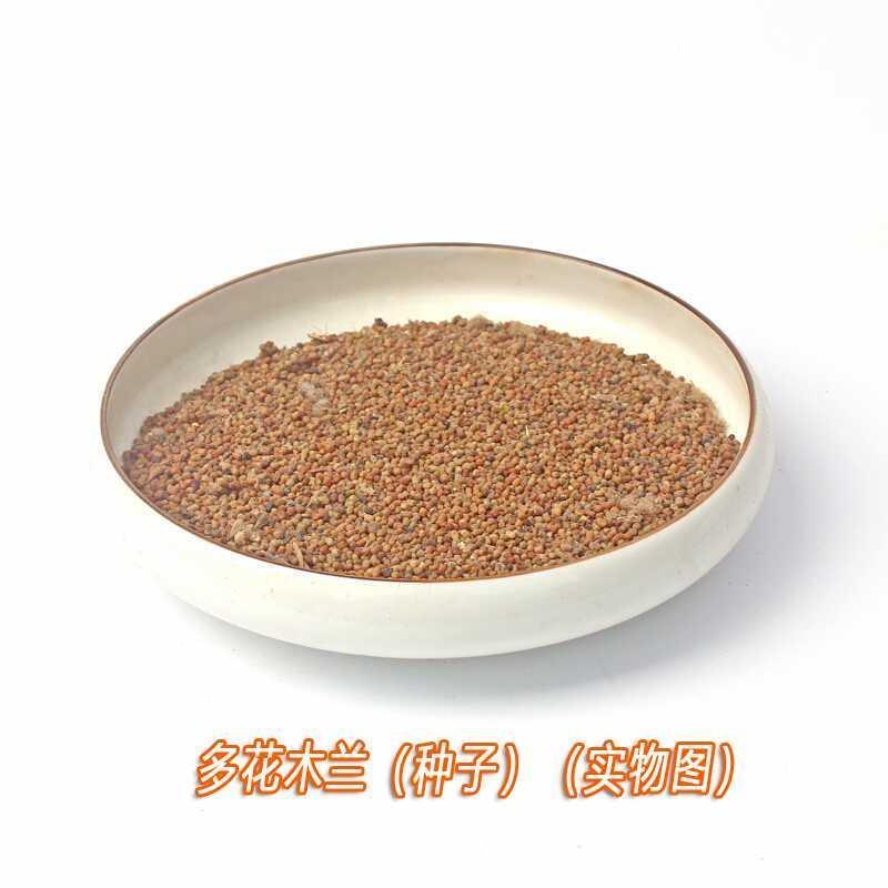 多花木兰种子固土护坡灌木种籽优质牧草饲料草籽牛羊兔鱼饲用