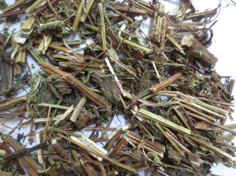 香茶菜干货中药材用量大从优欢迎选购
