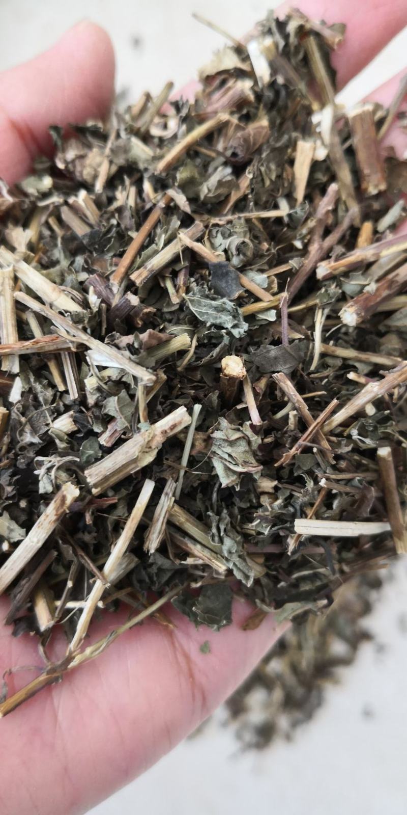 冬凌草干货中药材用各种冷背中药材量大从优