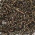 冬凌草干货中药材用各种冷背中药材量大从优