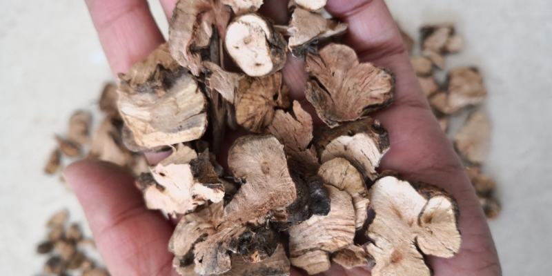 金荞麦干货中药用量大从优欢迎选购各种冷背中药材
