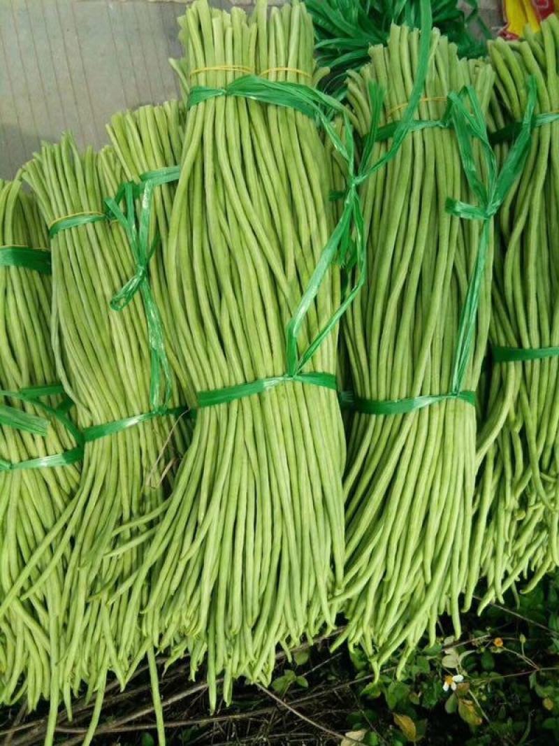 广西合浦县长豆角大量上市，价廉质优，欢迎采购