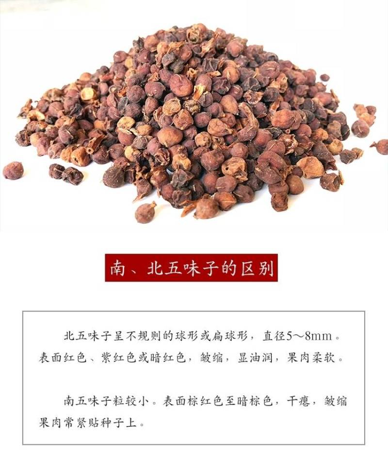 纯干无硫新货秦岭五味子自生五味子新鲜油籽茶干货南五味子