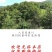纯干无硫新货秦岭五味子自生五味子新鲜油籽茶干货南五味子