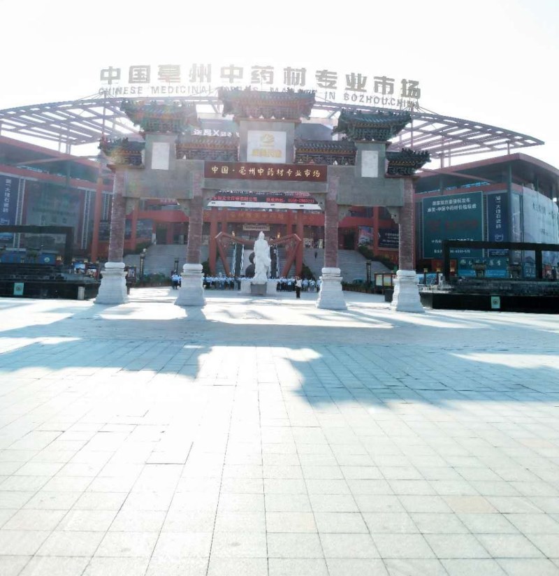 大驳骨产地直供支持线上交易可搭配多品种采购大货联系