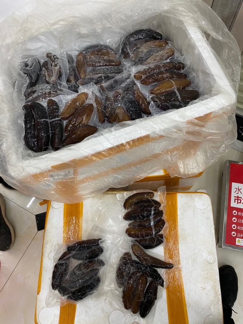 海参即食纯净水泡发土耳其海参新鲜真空冷袋肉质厚实口感好