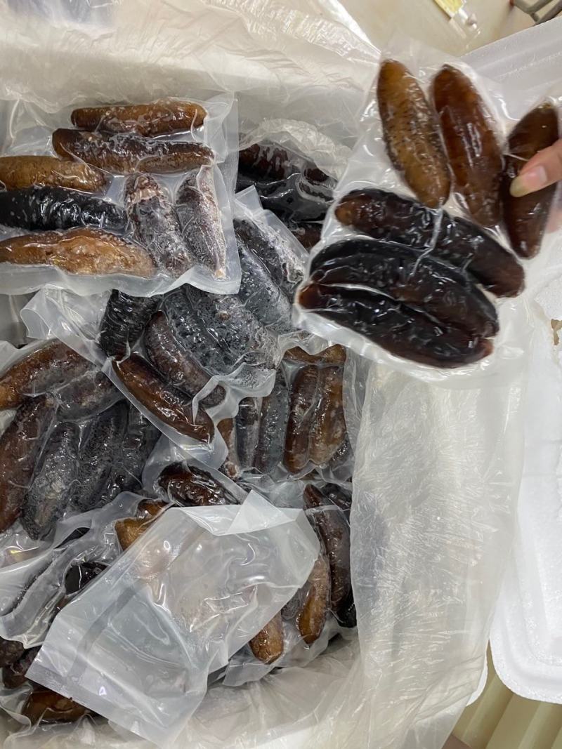 海参即食纯净水泡发土耳其海参新鲜真空冷袋肉质厚实口感好