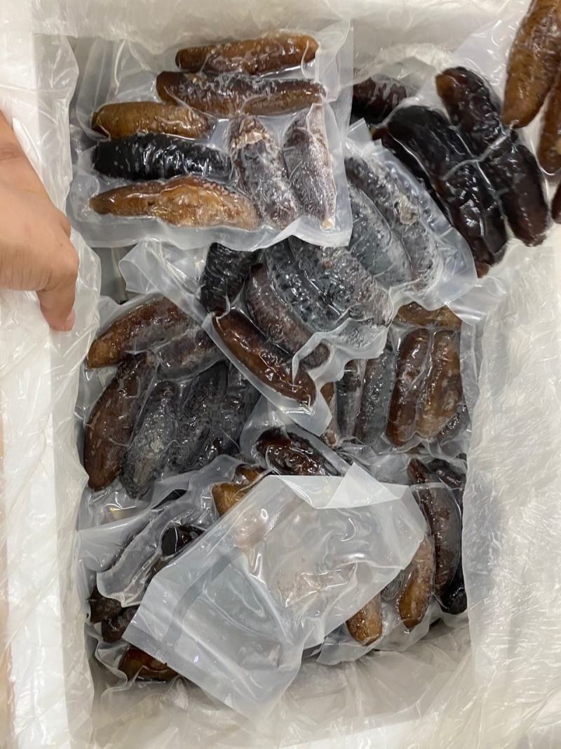 海参即食纯净水泡发土耳其海参新鲜真空冷袋肉质厚实口感好