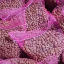 山药豆精品山药豆规格齐全