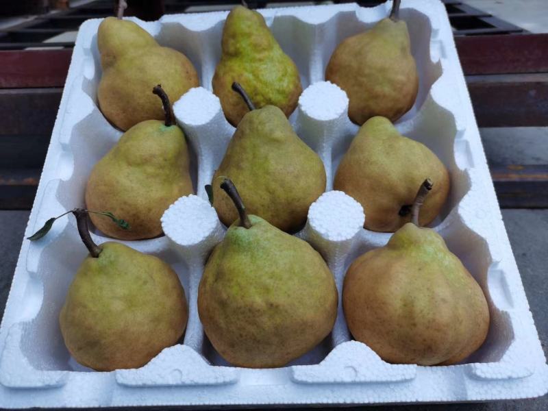 大量供应泡沫箱，价格实惠，物超所值，欢迎咨询预订
