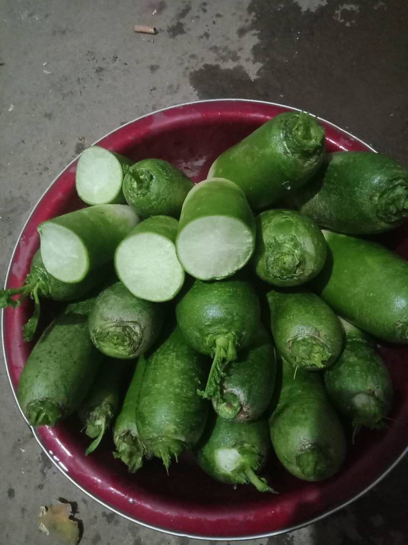 青萝卜，愣头青萝卜，口感脆，肉质绿色价格便宜