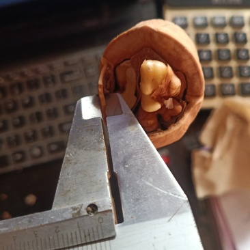 33熟核桃草本味奶油味